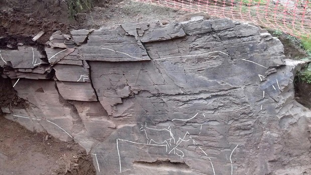 descubren-mayor-grabado-del-Paleoltico-superior-en-peninsula-iberica-k0l--620x349@abc